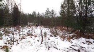 Встреча на Эльбе))..друзья на подходе . Песня Элли.