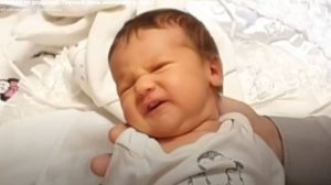 В СЕМЬЕ КОЛЕСНИКОВЫХ ПОПОЛНЕНИЯ