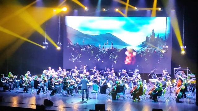 Harry Potter - Soundtrack Symphonic. Гарри Поттер - Cаундтрек в исполнении симфонического оркестра
