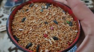 Во Вселенскую родительскую субботу сделайте это. Во Имя Рода Вашего