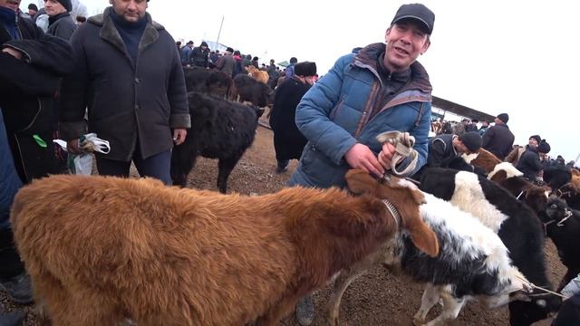 Голланд Моллар Хавас Килади Бу Бозорни Каранг! смотреть онлайн