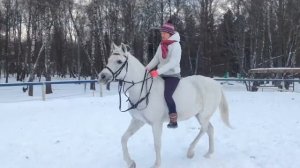 Верховая езда без седла Таня на Букве