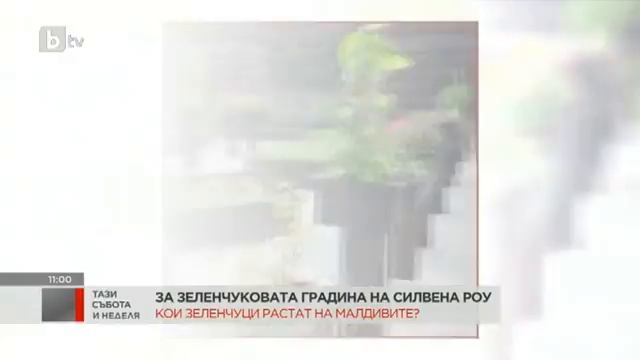 Тази събота и неделя: Специално: В къщата на chef Силвена Роу смотреть онлайн
