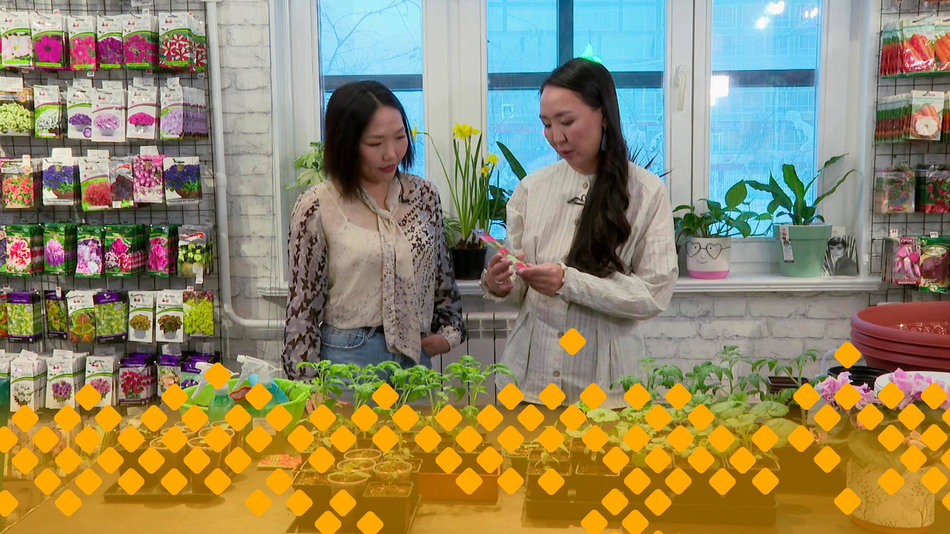 «Кыыс сайын» (14.03.25)