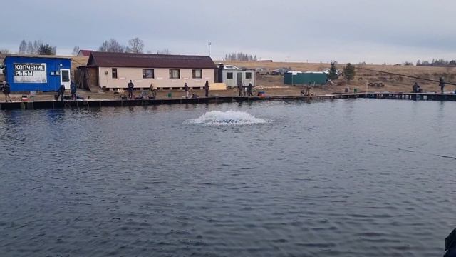 15-03-2025 смотреть онлайн