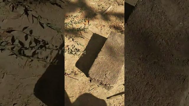Кам кыш с т смотреть онлайн