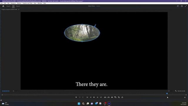 How to Add an Opacity Mask in Adobe Premiere Pro смотреть онлайн