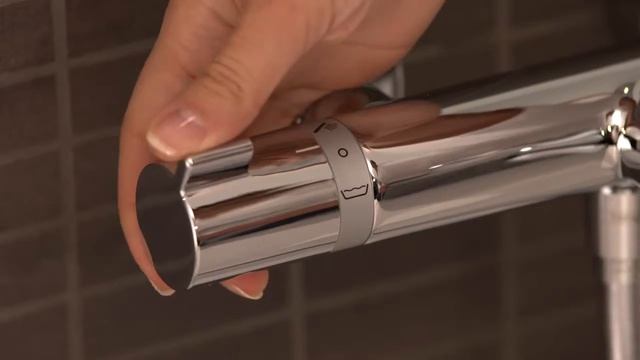13114000 Hansgrohe Ecostat