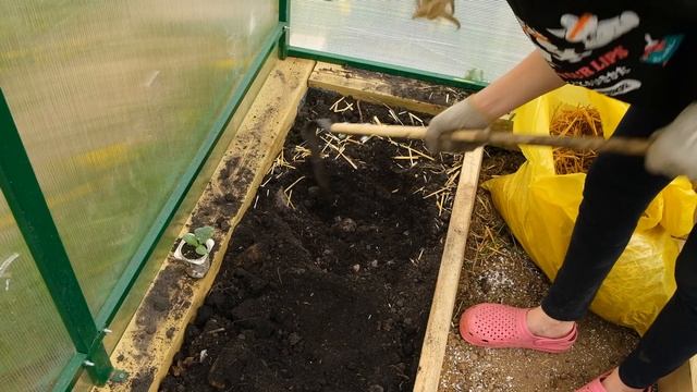 Супер рецепт посадки огурчиков от моей мамы! смотреть онлайн