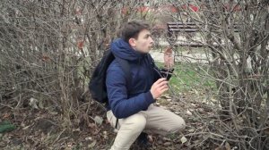 КОРОЧЕ ГОВОРЯ_ МЫ ШПИОНЫ(1080P_HD).mp4