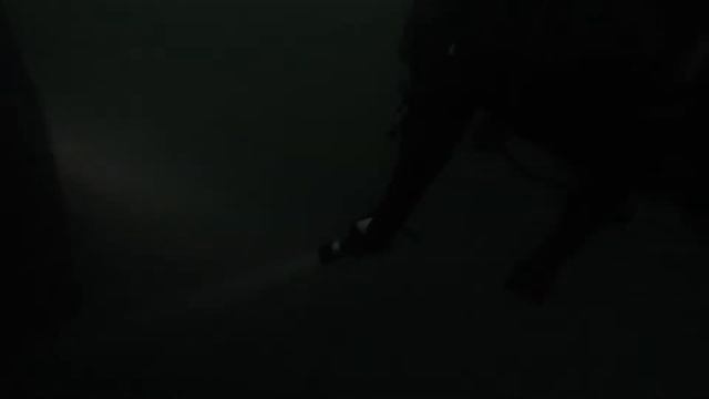 diving DIBROVA 2017 смотреть онлайн