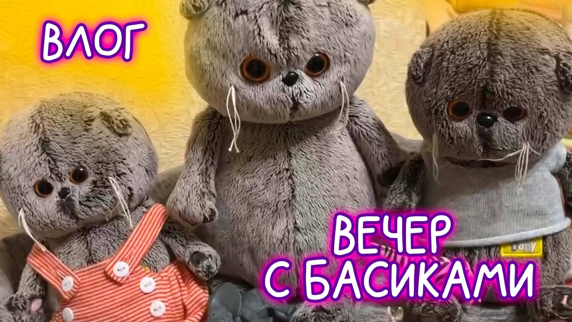 ВЕЧЕР С КОТАМИ БАСИКАМИ /ВЛОГ #КотБасик #Басики #Волшебные будни смотреть онлайн