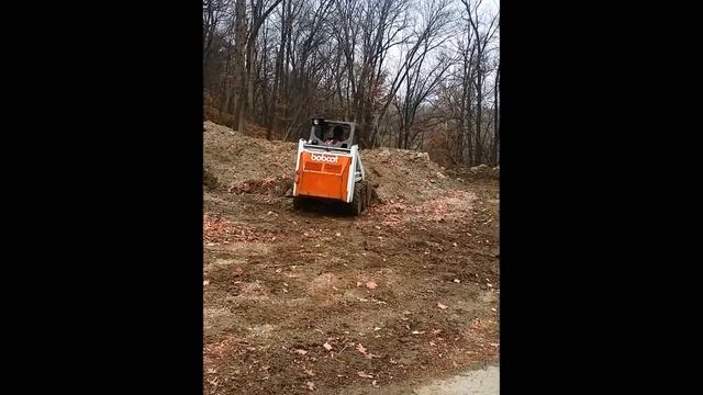 Bobcat 530