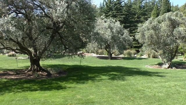 Парк санатория 