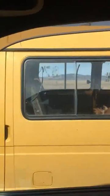 Пассажир))) смотреть онлайн