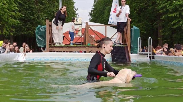 Petshop Days 2023 в Санкт-Петербурге. Док-дайвинг
