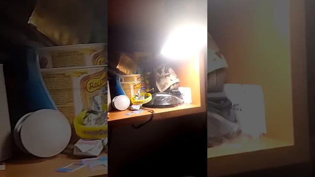 друг оставил ключ от квартиры и покрасил присмотреть за квартирай смотреть онлайн