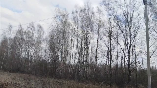 Ветер 1 смотреть онлайн