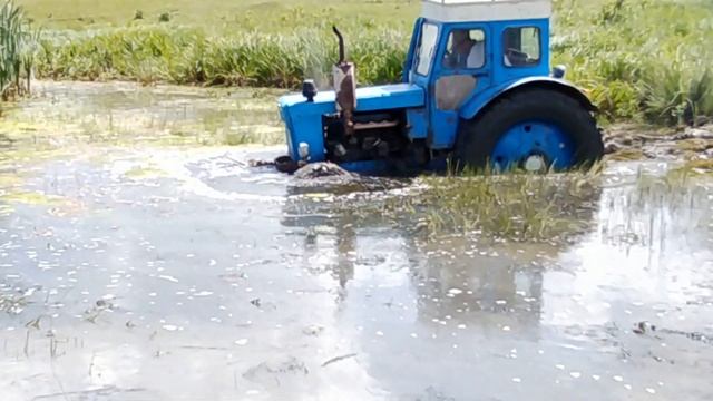 Трактор Т-40 застрял в болоте. смотреть онлайн
