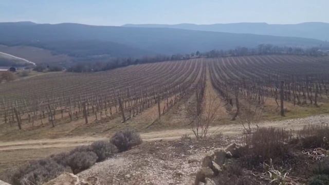 Крымское винодельческое хозяйство UPPA WINERY