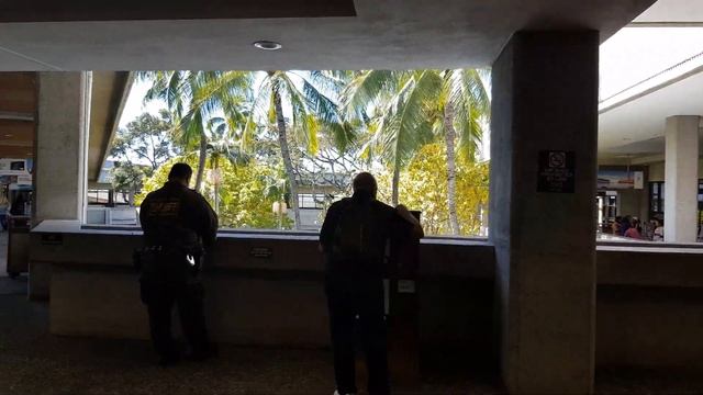 [ENG] Lên Máy Bay Qua Đảo Maui, Hawaii | Arriving At The Airport To Fly To Maui, HI | Meet Tien