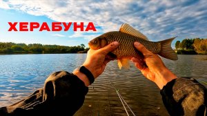 Китайский графит. Сибирский карась. Встреча