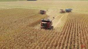 FIRST DAY of Corn Harvest 2021 : CASE IH 9250 Combines