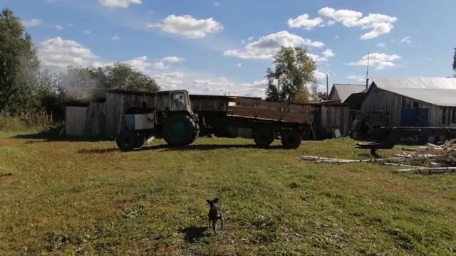 Отцепляем телегу от трактора Юмз-6 и ставим его на прикол! 9 июля 2021 г. смотреть онлайн