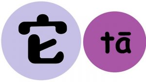 я ты он местоимения китайский