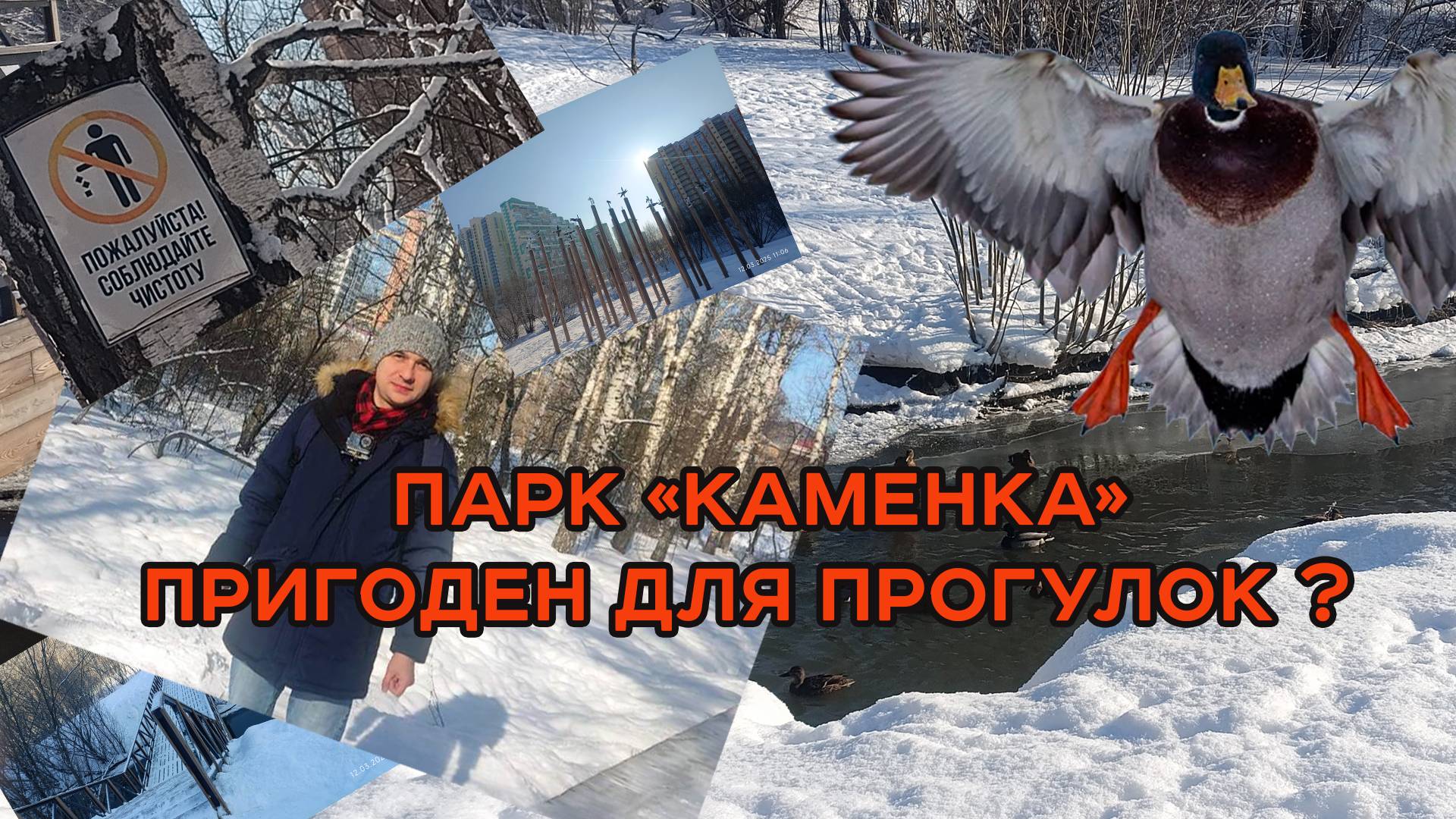 Парк Каменка в Новосибирске. Пригоден ли для прогулок?