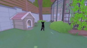 Little Kitty Big City - Fetch the Dogs Balls Walkthrough