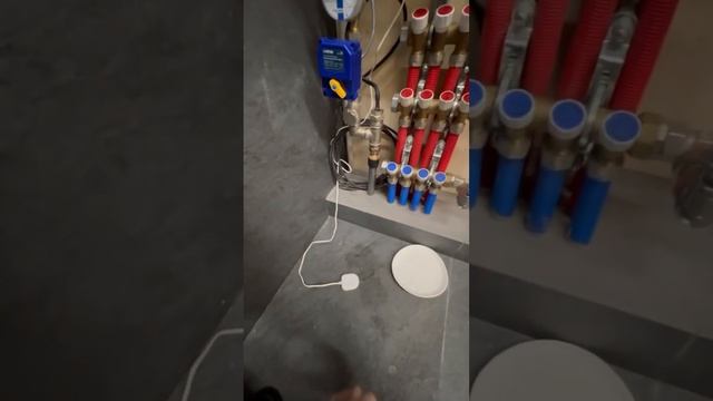 19 февраля 2024 г. смотреть онлайн