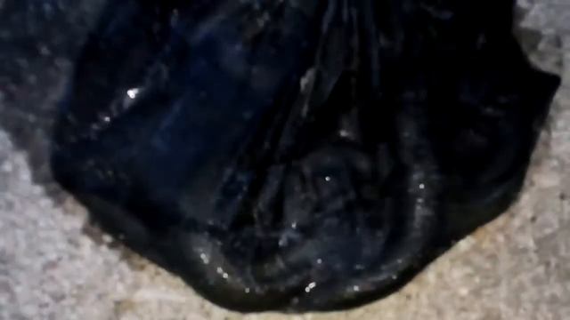 Евгений Pillau