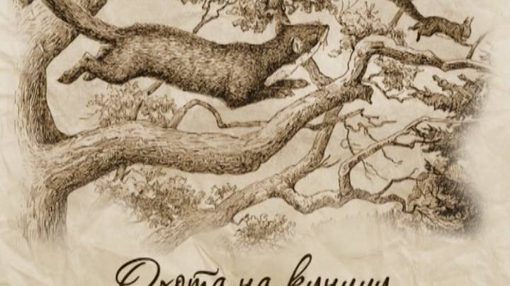 Охота на куницу