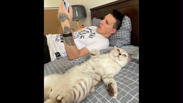 Янг траппа умер? Фек или нет смотреть онлайн