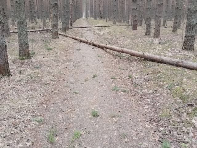 Последствия разгула стихии; похолодало; идёт снег; от былого тепла не осталось и следа смотреть онлайн