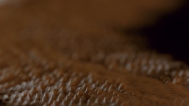 GODIVA A Symphony of Taste: Milk Chocolate смотреть онлайн