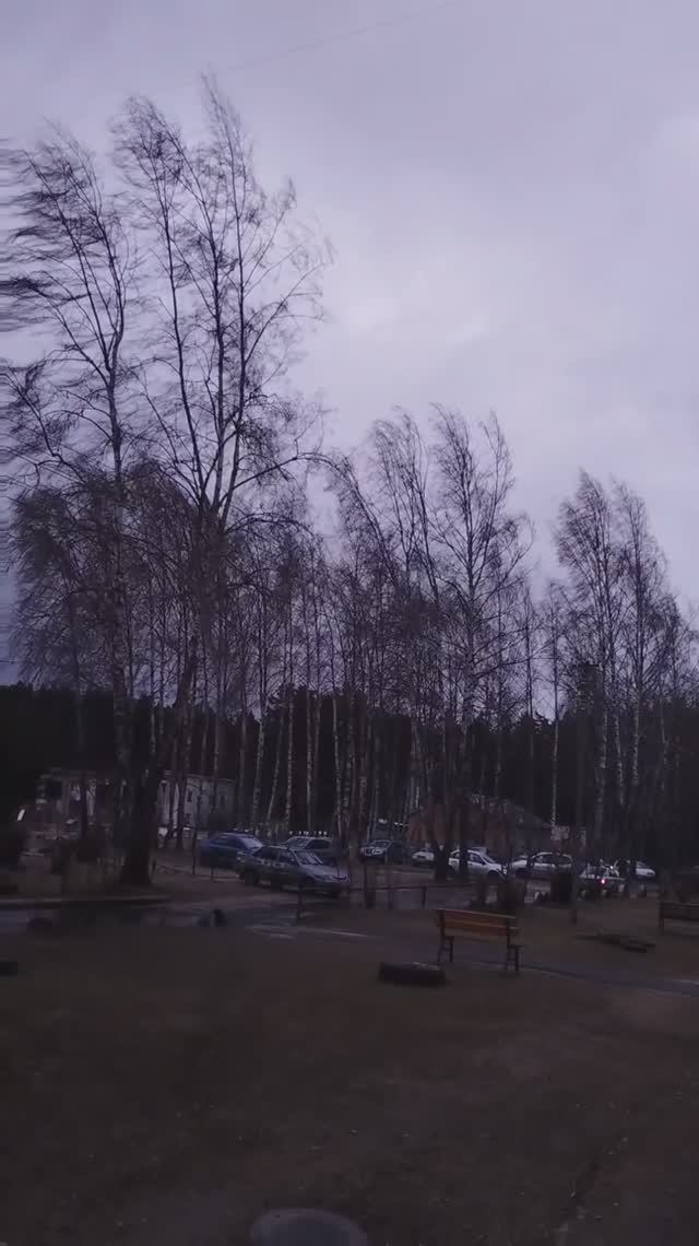 Прохождение холодного фронта 2 рода, сопровождаемый МОЩНЫМ ШКВАЛОМ смотреть онлайн