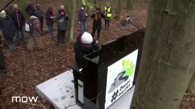 Пианист дал концерт в лесу, чтобы остановить вырубку деревьев смотреть онлайн