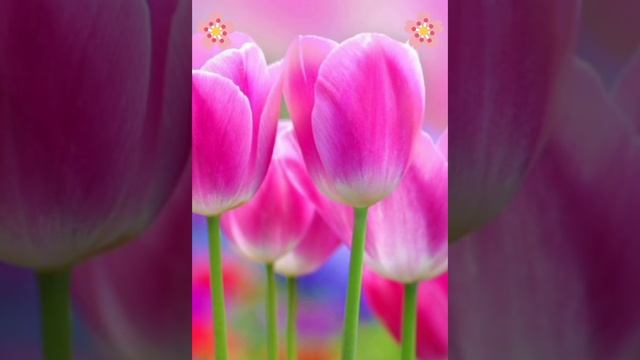 15 октября 2022 г. смотреть онлайн