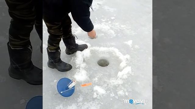 Щука на жерлицы 23.02.2019