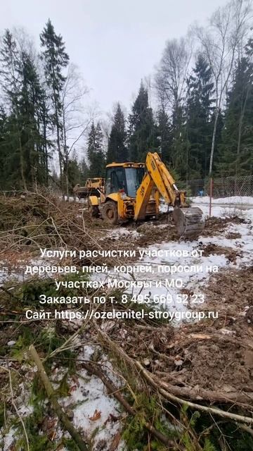 Услуги расчистки участков от деревьев, пней, корней в Москве и МО. Заказать по т. 8 495 669 52 23 смотреть онлайн