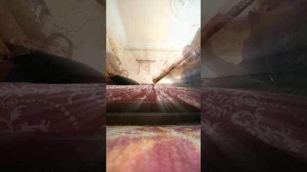 Ravvast + Сякухати