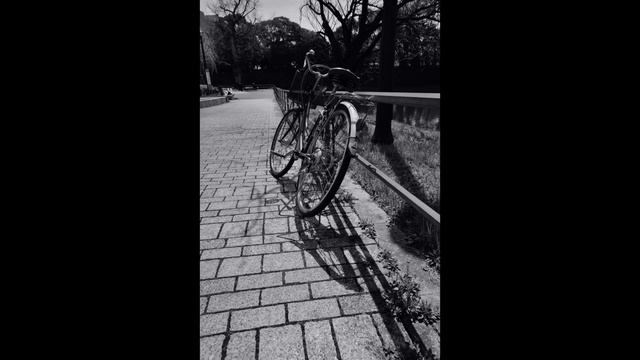 仕事を辞めた、再スタートの写真。 | Leica Q2 monochrom & Sony a7CR смотреть онлайн
