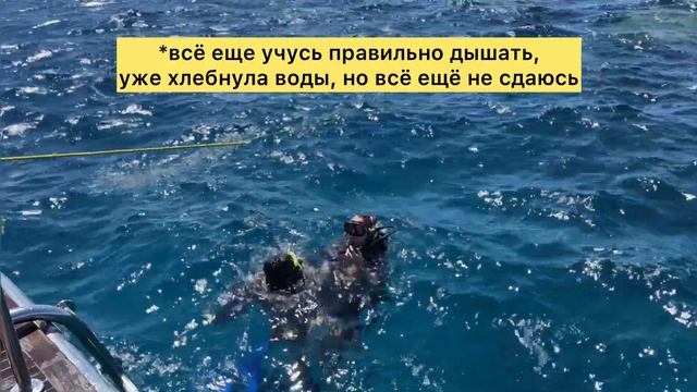 Мой первый в жизни дайвинг смотреть онлайн