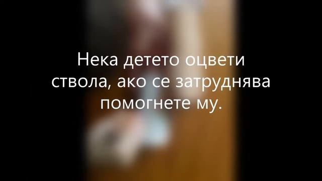 Есенно дърво
