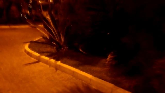 Теперь ты знаешь что мы делали этим летом :) ЧАСТЬ 2 смотреть онлайн