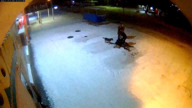 Пьяная драка в Ельце. Пришёл, увидел, получил! смотреть онлайн