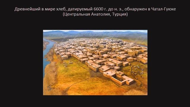 Археологические итоги 2024 года смотреть онлайн