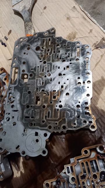 Mysterious Moonlit Gardens